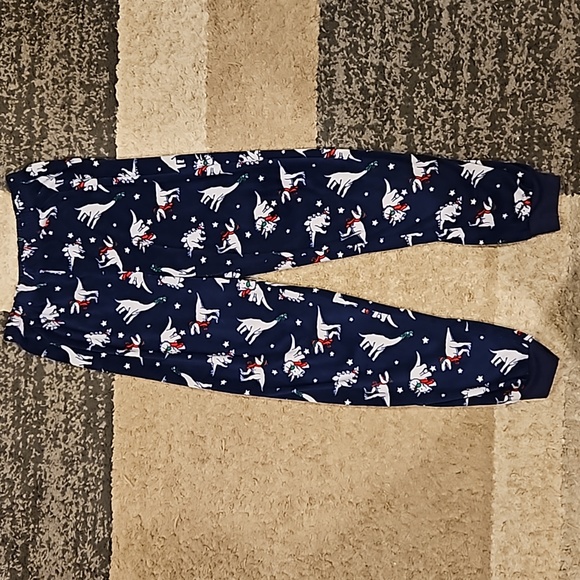 Boy's Holiday Dino Pajama Pants. Super Soft Flannel. Sz: L (10/12) Looks Great! - Picture 1 of 8